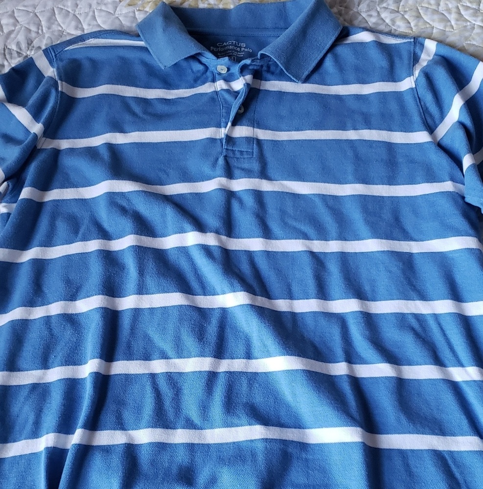 Blue striped casual polo shirt.